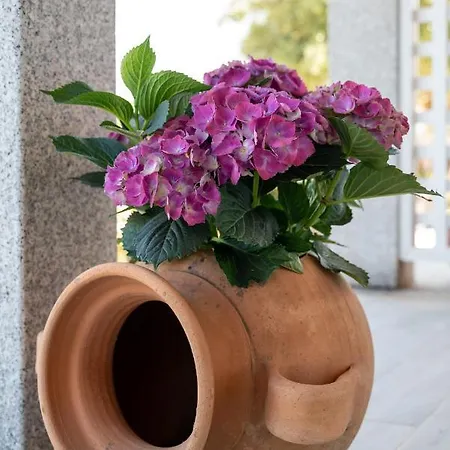 Coro E Bentu & View San Teodoro (Sardinia)