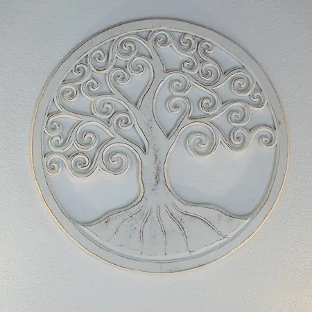 Coro E Bentu & View سان تيودورو