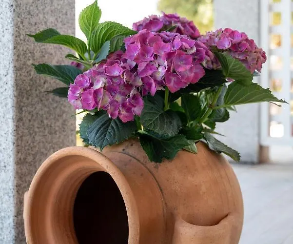 Coro E Bentu Rooms&view San Teodoro (Sardinia)